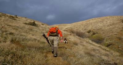 &Mu;ή&nu;&upsilon;&sigma;&eta; &gamma;&iota;&alpha; &lambda;&alpha;&theta;&rho;&omicron;&theta;&eta;&rho;ί&alpha; &sigma;&tau;&eta; &Lambda;ή&mu;&nu;&omicron;