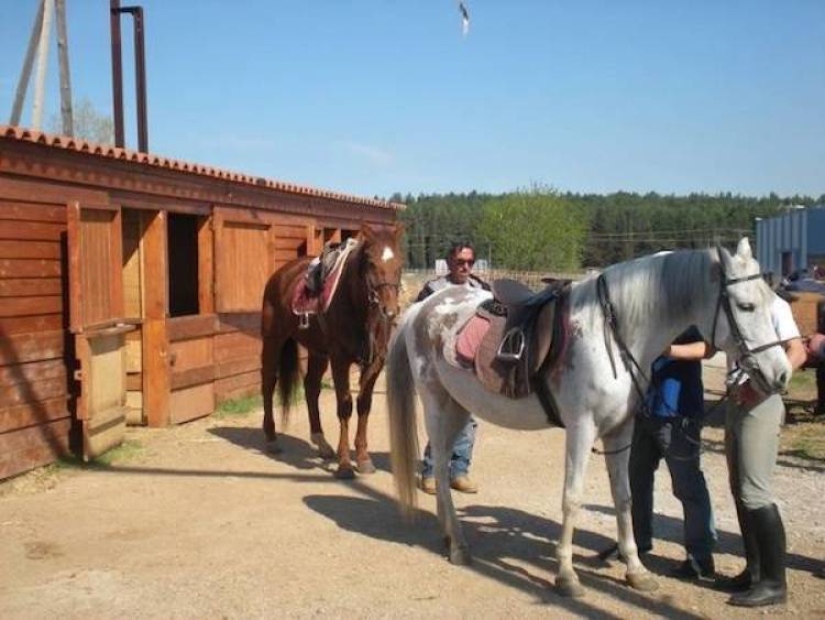 Ξεκινούν σήμερα οι εκδηλώσεις του Ιππικού Συλλόγου Λήμνου