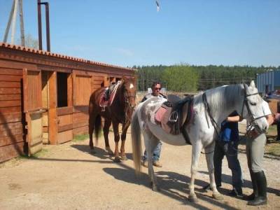 Ξεκινούν σήμερα οι εκδηλώσεις του Ιππικού Συλλόγου Λήμνου