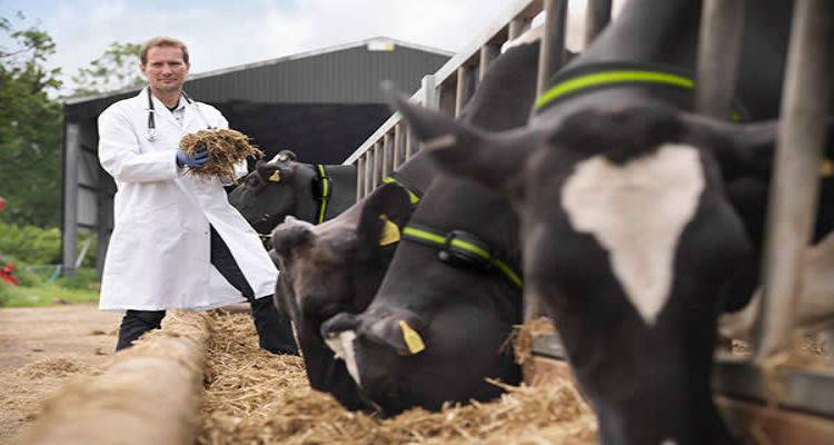 &Alpha;&upsilon;&sigma;&tau;&eta;&rho;ό&tau;&epsilon;&rho;&omicron;&upsilon;&sigmaf; &epsilon;&lambda;έ&gamma;&chi;&omicron;&upsilon;&sigmaf; &gamma;&iota;&alpha; &tau;&eta;&nu; &omicron;&zeta;ώ&delta;&eta; &delta;&epsilon;&rho;&mu;&alpha;&tau;ί&tau;&iota;&delta;&alpha; &zeta;&eta;&tau;ά &omicron; &Pi;&alpha;&nu;&epsilon;&lambda;&lambda;ή&nu;&iota;&omicron;&sigmaf; &Kappa;&tau;&eta;&nu;&iota;&alpha;&tau;&rho;&iota;&kappa;ό&sigmaf; &Sigma;ύ&lambda;&lambda;&omicron;&gamma;&omicron;&sigmaf;