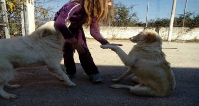 &Gamma;ί&nu;&epsilon; &sigma;&upsilon;&nu;&omicron;&delta;ό&sigmaf; &gamma;&iota;&alpha; &mu;&iota;&alpha; &mu;έ&rho;&alpha;! | &Beta;&omicron;ή&theta;&eta;&sigma;&epsilon; &tau;&alpha; &alpha;&delta;έ&sigma;&pi;&omicron;&tau;&alpha; &tau;&eta;&sigmaf; &Lambda;ή&mu;&nu;&omicron;&upsilon; &nu;&alpha; &pi;ά&nu;&epsilon; &beta;ό&lambda;&tau;&alpha;