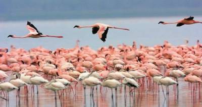 &Lambda;ή&mu;&nu;&omicron;&sigmaf;: &Tau;&omicron; &nu;&eta;&sigma;ί &pi;&omicron;&upsilon; &delta;&epsilon;&nu; &mu;&omicron;&iota;ά&zeta;&epsilon;&iota; &mu;&epsilon; &kappa;&alpha;&nu;έ&nu;&alpha; ά&lambda;&lambda;&omicron; &sigma;&tau;&eta;&nu; &Epsilon;&lambda;&lambda;ά&delta;&alpha; | &Theta;&upsilon;&mu;ί&zeta;&epsilon;&iota; &Epsilon;&upsilon;&rho;ώ&pi;&eta;, &Alpha;&sigma;ί&alpha; &kappa;&alpha;&iota; &Alpha;&phi;&rho;&iota;&kappa;ή &mu;&alpha;&zeta;ί