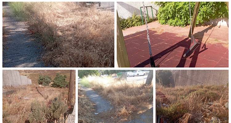 &Epsilon;&rho;&gamma;&alpha;&tau;&iota;&kappa;έ&sigmaf; &Kappa;&alpha;&tau;&omicron;&iota;&kappa;ί&epsilon;&sigmaf; &Lambda;ή&mu;&nu;&omicron;&upsilon;: &laquo;&Mu;&iota;&alpha; &pi;&epsilon;&rho;&iota;&omicron;&chi;ή &xi;&epsilon;&chi;&alpha;&sigma;&mu;έ&nu;&eta; &alpha;&pi;ό &tau;&omicron;&upsilon;&sigmaf; &alpha;&nu;&theta;&rho;ώ&pi;&omicron;&upsilon;&sigmaf;&raquo; (photos)