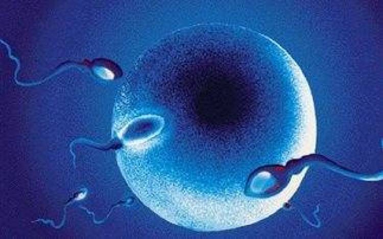 Η Ελλάδα τελευταία στην παιδική θνησιμότητα στη γέννα.. παγκοσμίως