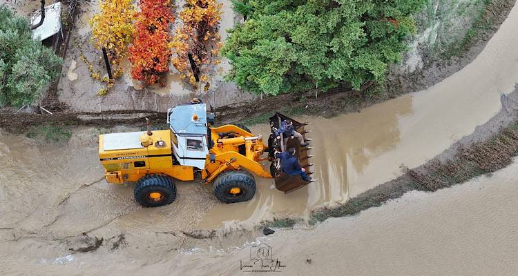 &Epsilon;&nu;&eta;&mu;έ&rho;&omega;&sigma;&eta; &alpha;&pi;ό &tau;&eta;&nu; &Pi;&epsilon;&rho;&iota;&phi;&epsilon;&rho;&epsilon;&iota;&alpha;&kappa;ή &Epsilon;&nu;ό&tau;&eta;&tau;&alpha; &Lambda;ή&mu;&nu;&omicron;&upsilon; &gamma;&iota;&alpha; &tau;&eta;&nu; &alpha;&nu;&tau;&iota;&mu;&epsilon;&tau;ώ&pi;&iota;&sigma;&eta; &tau;&omega;&nu; &pi;&lambda;&eta;&mu;&mu;&upsilon;&rho;&iota;&kappa;ώ&nu; &phi;&alpha;&iota;&nu;&omicron;&mu;έ&nu;&omega;&nu; &tau;&eta;&sigmaf; Bora