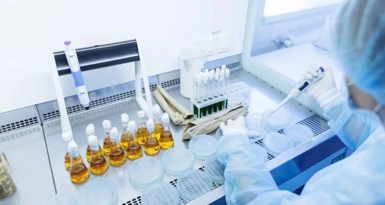 &Delta;&omega;&rho;&epsilon;ά&nu; &pi;&rho;&omicron;&lambda;&eta;&pi;&tau;&iota;&kappa;έ&sigmaf; &epsilon;&xi;&epsilon;&tau;ά&sigma;&epsilon;&iota;&sigmaf; &gamma;&iota;&alpha; &tau;&eta; &nu;&epsilon;&phi;&rho;&iota;&kappa;ή &delta;&upsilon;&sigma;&lambda;&epsilon;&iota;&tau;&omicron;&upsilon;&rho;&gamma;ί&alpha; | &Tau;&alpha; &pi;&rho;ώ&tau;&alpha; &alpha;&pi;&omicron;&tau;&epsilon;&lambda;έ&sigma;&mu;&alpha;&tau;&alpha; &alpha;&pi;ό &tau;&alpha; &pi;&rho;&omicron;&gamma;&rho;ά&mu;&mu;&alpha;&tau;&alpha; &kappa;&alpha;&tau;ά &tau;&eta;&sigmaf; &pi;&alpha;&chi;&upsilon;&sigma;&alpha;&rho;&kappa;ί&alpha;&sigmaf;