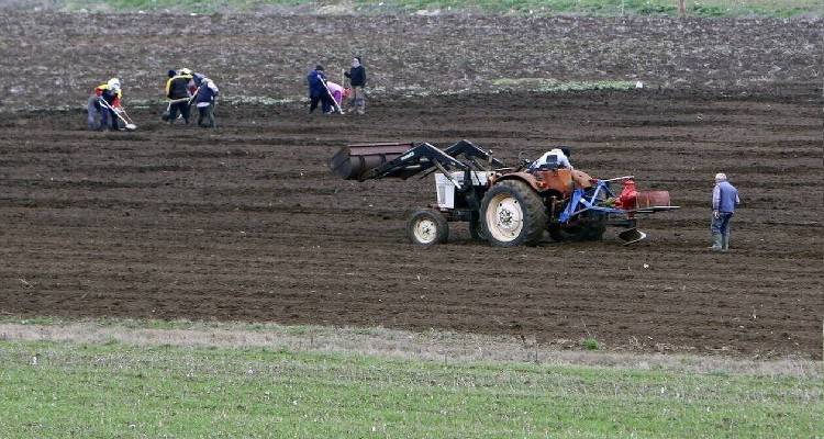 &Beta;&iota;&omicron;&lambda;&omicron;&gamma;&iota;&kappa;ή &Gamma;&epsilon;&omega;&rho;&gamma;ί&alpha; &Mu;έ&tau;&rho;&omicron; 11: &Omicron;&lambda;&omicron;&kappa;&lambda;&eta;&rho;ώ&theta;&eta;&kappa;&epsilon; &eta; &alpha;&rho;&chi;&iota;&kappa;ή &alpha;&xi;&iota;&omicron;&lambda;ό&gamma;&eta;&sigma;&eta;