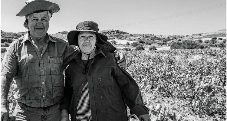 Ο «Γαστρονόμος» παρουσιάζει τα τέσσερα οινοποιεία της Λήμνου που βραβεύτηκαν πρόσφατα.