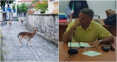 Παρέμβαση της Λαϊκής Συσπείρωσης Λήμνου για τον υπερπληθυσμό των ελαφιών και τις συνέπειες στους δημότες