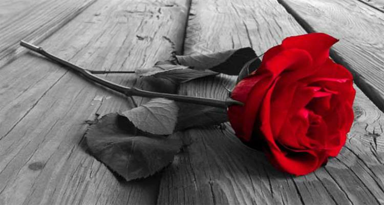 &Sigma;ύ&lambda;&lambda;&omicron;&gamma;&omicron;&sigmaf; &Epsilon;&theta;&epsilon;&lambda;&omicron;&nu;&tau;ώ&nu; &Alpha;&iota;&mu;&omicron;&delta;&omicron;&tau;ώ&nu; &Lambda;ή&mu;&nu;&omicron;&upsilon;: &Sigma;&upsilon;&lambda;&lambda;&upsilon;&pi;&eta;&tau;ή&rho;&iota;&alpha; &sigma;&tau;&eta; &Beta;&alpha;&gamma;&gamma;&epsilon;&lambda;&iota;ώ &Kappa;&alpha;&rho;ά&mu;&alpha;&lambda;&eta;-&Tau;&sigma;&epsilon;&lambda;&epsilon;&pi;ή