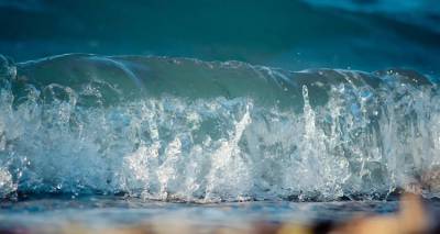 Διάκριση Ελλήνων επιστημόνων που μελετούν τις επιπτώσεις των δασικών πυρκαγιών στα θαλάσσια οικοσυστήματα | Στο μικροσκόπιο και η Λήμνος λόγω Δαδιάς