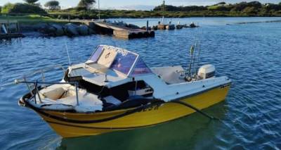 Αυστραλία: Φάλαινα πήδηξε έξω από το νερό και χτύπησε σκάφος | Σε κώμα 18χρονος, με σπασμένο λαιμό