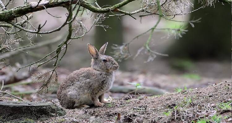 &Lambda;ή&mu;&nu;&omicron;&sigmaf;: &Epsilon;&rho;ώ&tau;&eta;&sigma;&eta; &sigma;&tau;&eta; &Beta;&omicron;&upsilon;&lambda;ή &gamma;&iota;&alpha; &tau;&alpha; &pi;&rho;&omicron;&beta;&lambda;ή&mu;&alpha;&tau;&alpha; &alpha;&pi;ό &alpha;&gamma;&rho;&iota;&omicron;&kappa;&omicron;ύ&nu;&epsilon;&lambda;&alpha;