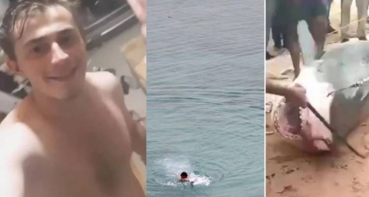 &Theta;&eta;&lambda;&upsilon;&kappa;ό&sigmaf; έ&gamma;&kappa;&upsilon;&omicron;&sigmaf; &kappa;&alpha;&rho;&chi;&alpha;&rho;ί&alpha;&sigmaf; &kappa;&alpha;&tau;&alpha;&sigma;&pi;ά&rho;&alpha;&xi;&epsilon; &tau;&omicron;&nu; 23&chi;&rho;&omicron;&nu;&omicron; &sigma;&tau;&eta;&nu; &Alpha;ί&gamma;&upsilon;&pi;&tau;&omicron; | &Iota;&sigma;&chi;&upsilon;&rho;&iota;&sigma;&mu;&omicron;ί ό&tau;&iota; &epsilon;ί&chi;&epsilon; &phi;ά&epsilon;&iota; &kappa;&alpha;&iota; &delta;ύ&omicron; &gamma;&upsilon;&nu;&alpha;ί&kappa;&epsilon;&sigmaf;