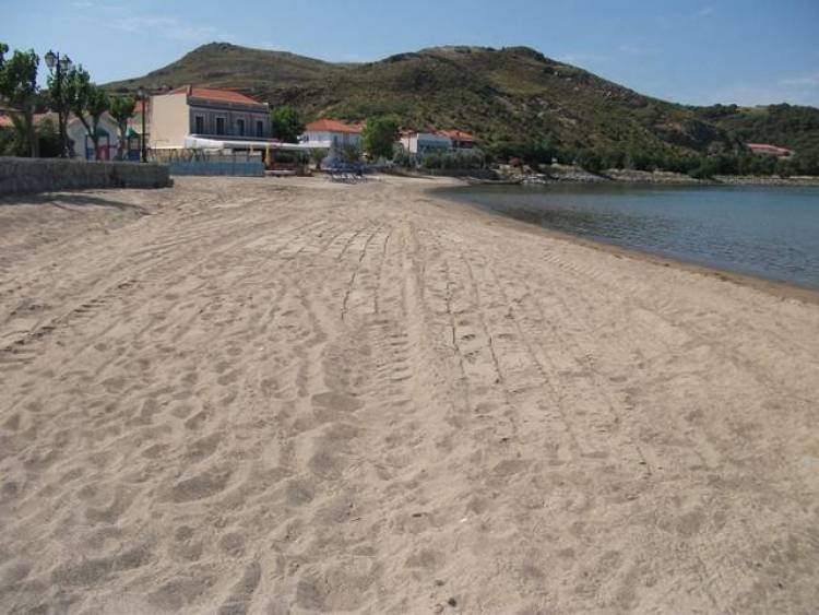 Ξανά για βουτιές στην παραλία Νέας Μαδύτου | Άκρως ικανοποιητικά τα νέα αποτελέσματα