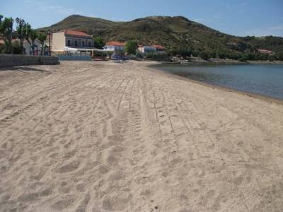 Ξανά για βουτιές στην παραλία Νέας Μαδύτου | Άκρως ικανοποιητικά τα νέα αποτελέσματα