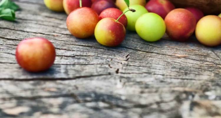 Τα ‘ριξε ο αέρας πριν την ώρα τους | Μικρή “ζημιά” στις αυλές της Λήμνου