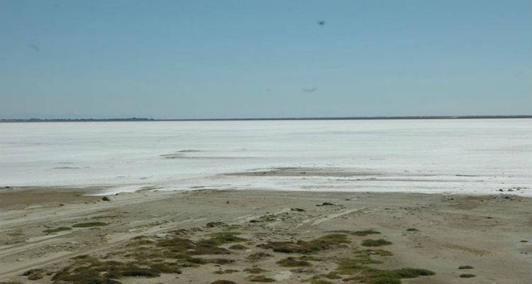 Γ. Κότσαλης προς Σ. Πανταζή: «Αν δεν &quot;σήκωνε&quot; η Ανεμόεσσα το θέμα θα κάνατε ακόμα το &quot;κορόιδο&quot; ή όχι;» (video)