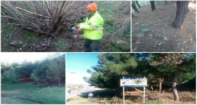 &Epsilon;&rho;&gamma;&alpha;&sigma;ί&epsilon;&sigmaf; &kappa;&alpha;&theta;&alpha;&rho;&iota;&sigma;&mu;&omicron;ύ &sigma;&tau;&omicron; &alpha;&lambda;&sigma;ύ&lambda;&lambda;&iota;&omicron; &tau;&omicron;&upsilon; &Alpha;&gamma;ί&omicron;&upsilon; &Delta;&eta;&mu;&eta;&tau;&rho;ί&omicron;&upsilon;