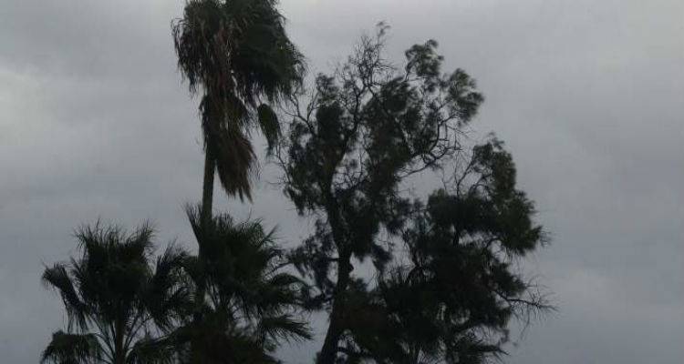 &Sigma;&upsilon;&nu;&nu;&epsilon;&phi;&iota;ά, &beta;&rho;&omicron;&chi;έ&sigmaf; &kappa;&alpha;&iota; &iota;&sigma;&chi;&upsilon;&rho;&omicron;ί &beta;&omicron;&rho;&iota;ά&delta;&epsilon;&sigmaf; | &Pi;έ&phi;&tau;&epsilon;&iota; &eta; &theta;&epsilon;&rho;&mu;&omicron;&kappa;&rho;&alpha;&sigma;ί&alpha;