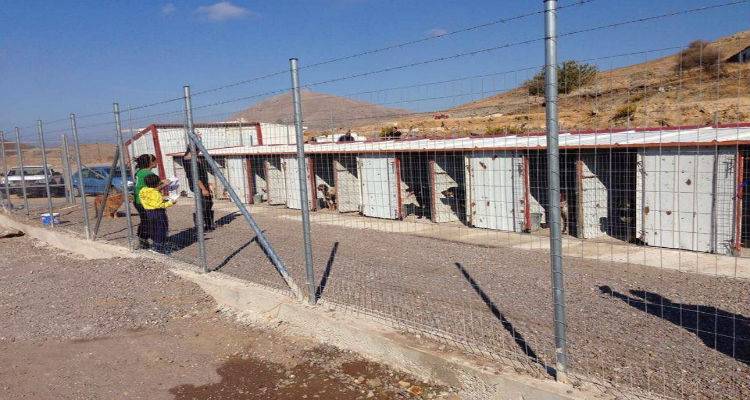 &Phi;&iota;&lambda;&omicron;&zeta;&omega;&iota;&kappa;ό &Sigma;&omega;&mu;&alpha;&tau;&epsilon;ί&omicron; &Lambda;ή&mu;&nu;&omicron;&upsilon;: &laquo;&Iota;&kappa;&alpha;&nu;&omicron;&pi;&omicron;&iota;&eta;&mu;έ&nu;&omicron; &mu;&epsilon;&nu;, &alpha;&lambda;&lambda;ά&hellip;&raquo; &gamma;&iota;&alpha; &tau;&omicron; &nu;έ&omicron; &kappa;&upsilon;&nu;&omicron;&kappa;&omicron;&mu;&epsilon;ί&omicron; &Lambda;ή&mu;&nu;&omicron;&upsilon; (photos)