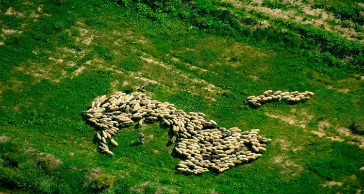 &Omega;&sigmaf; &tau;&iota;&sigmaf; 7 &Omicron;&kappa;&tau;&omega;&beta;&rho;ί&omicron;&upsilon; &omicron;&iota; &delta;&eta;&lambda;ώ&sigma;&epsilon;&iota;&sigmaf; &gamma;&iota;&alpha; έ&nu;&tau;&alpha;&xi;&eta; &epsilon;&kappa;&tau;ά&sigma;&epsilon;&omega;&nu; &sigma;&tau;&alpha; &Delta;&iota;&alpha;&chi;&epsilon;&iota;&rho;&iota;&sigma;&tau;&iota;&kappa;ά &Sigma;&chi;έ&delta;&iota;&alpha; &Beta;ό&sigma;&kappa;&eta;&sigma;&eta;&sigmaf; &pi;&omicron;&upsilon; &theta;&alpha; &epsilon;&kappa;&pi;&omicron;&nu;&eta;&theta;&omicron;ύ&nu;