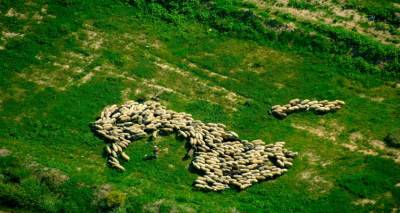 &Omega;&sigmaf; &tau;&iota;&sigmaf; 7 &Omicron;&kappa;&tau;&omega;&beta;&rho;ί&omicron;&upsilon; &omicron;&iota; &delta;&eta;&lambda;ώ&sigma;&epsilon;&iota;&sigmaf; &gamma;&iota;&alpha; έ&nu;&tau;&alpha;&xi;&eta; &epsilon;&kappa;&tau;ά&sigma;&epsilon;&omega;&nu; &sigma;&tau;&alpha; &Delta;&iota;&alpha;&chi;&epsilon;&iota;&rho;&iota;&sigma;&tau;&iota;&kappa;ά &Sigma;&chi;έ&delta;&iota;&alpha; &Beta;ό&sigma;&kappa;&eta;&sigma;&eta;&sigmaf; &pi;&omicron;&upsilon; &theta;&alpha; &epsilon;&kappa;&pi;&omicron;&nu;&eta;&theta;&omicron;ύ&nu;