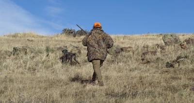 &Lambda;ή&mu;&nu;&omicron;&sigmaf;: &Xi;&epsilon;&kappa;&iota;&nu;ά&epsilon;&iota; &eta; έ&kappa;&delta;&omicron;&sigma;&eta; &alpha;&delta;&epsilon;&iota;ώ&nu; &kappa;&upsilon;&nu;&eta;&gamma;&iota;&omicron;ύ 2023 -2024