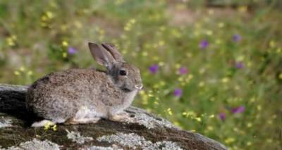&Epsilon;&Lambda;&Gamma;&Alpha;: &Pi;&omicron;&rho;ί&sigma;&mu;&alpha;&tau;&alpha; &epsilon;&kappa;&tau;ί&mu;&eta;&sigma;&eta;&sigmaf; &zeta;&eta;&mu;&iota;ώ&nu; &alpha;&pi;ό &alpha;&gamma;&rho;&iota;&omicron;&kappa;&omicron;ύ&nu;&epsilon;&lambda;&alpha; &sigma;&epsilon; &kappa;&alpha;&lambda;&lambda;&iota;έ&rho;&gamma;&epsilon;&iota;&epsilon;&sigmaf; &tau;&omega;&nu; &Kappa;&omicron;&iota;&nu;&omicron;&tau;ή&tau;&omega;&nu; &Alpha;&gamma;. &Delta;&eta;&mu;&eta;&tau;&rho;ί&omicron;&upsilon;, &Beta;ά&rho;&omicron;&upsilon;&sigmaf; &kappa;&alpha;&iota; &Sigma;&alpha;&rho;&delta;ώ&nu;