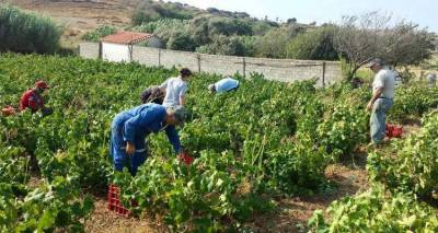 &Tau;&rho;ύ&gamma;&omicron;&sigmaf; 2020: Ό&lambda;&alpha; ό&sigma;&alpha; &pi;&rho;έ&pi;&epsilon;&iota; &nu;&alpha; &gamma;&nu;&omega;&rho;ί&zeta;&omicron;&upsilon;&nu; &omicron;&iota; &alpha;&mu;&pi;&epsilon;&lambda;&omicron;&upsilon;&rho;&gamma;&omicron;ί &tau;&eta;&sigmaf; &Lambda;ή&mu;&nu;&omicron;&upsilon;