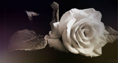 &Alpha;&kappa;&upsilon;&rho;ώ&nu;&epsilon;&tau;&alpha;&iota; &eta; &laquo;&Beta;&rho;&alpha;&delta;&iota;ά &Alpha;&nu;&theta;&rho;&omega;&pi;&iota;ά&sigmaf;&raquo; &sigma;&tau;&omicron; &Mu;&omicron;ύ&delta;&rho;&omicron; &lambda;ό&gamma;&omega; &pi;έ&nu;&theta;&omicron;&upsilon;&sigmaf;