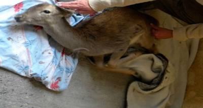 &Delta;&epsilon;&nu; ά&nu;&tau;&epsilon;&xi;&epsilon; &tau;&epsilon;&lambda;&iota;&kappa;ά &tau;&omicron; &nu;&epsilon;&alpha;&rho;ό &pi;&lambda;&alpha;&tau;ώ&nu;&iota;