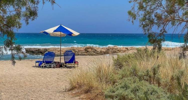 &Mu;&iota;&kappa;&rho;ό &kappa;&alpha;&lambda;&omicron;&kappa;&alpha;ί&rho;&iota; &alpha;&pi;ό &tau;&omicron; &Sigma;ά&beta;&beta;&alpha;&tau;&omicron;, &pi;&omicron;&lambda;&lambda;ή &zeta;έ&sigma;&tau;&eta; &gamma;&iota;&alpha; &tau;&eta;&nu; &epsilon;&pi;&omicron;&chi;ή | &Eta; &pi;&rho;ό&gamma;&nu;&omega;&sigma;&eta; &kappa;&alpha;&iota;&rho;&omicron;ύ &alpha;&pi;ό &tau;&omicron;&nu; &Sigma;ά&kappa;&eta; &Alpha;&rho;&nu;&alpha;&omicron;ύ&tau;&omicron;&gamma;&lambda;&omicron;&upsilon;