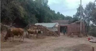 &Mu;&eta;&tau;έ&rho;&alpha; &sigma;&kappa;ό&tau;&omega;&sigma;&epsilon; &tau;&alpha; 4 &pi;&alpha;&iota;&delta;&iota;ά &tau;&eta;&sigmaf; &gamma;&iota;&alpha;&tau;ί &delta;&epsilon;&nu; &mu;&pi;&omicron;&rho;&omicron;ύ&sigma;&epsilon; &nu;&alpha; &tau;&alpha; &theta;&rho;έ&psi;&epsilon;&iota; | &Alpha;&upsilon;&tau;&omicron;&kappa;&tau;ό&nu;&eta;&sigma;&epsilon; &mu;&alpha;&zeta;ί &tau;&eta;&sigmaf; &kappa;&alpha;&iota; &omicron; &pi;&alpha;&tau;έ&rho;&alpha;&sigmaf;