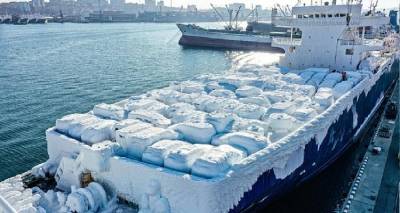 Δεκάδες αυτοκίνητα πάγωσαν σε πλοίο (Video)