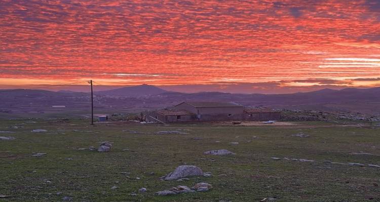 &Phi;&lambda;&omicron;&gamma;&epsilon;&rho;ό &delta;&epsilon;&iota;&lambda;&iota;&nu;ό &sigma;&tau;&eta; &Lambda;ή&mu;&nu;&omicron;