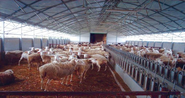 Σχέδια Βελτίωσης: Γιατί κράτησαν 15 εκατ. ευρώ στην άκρη;