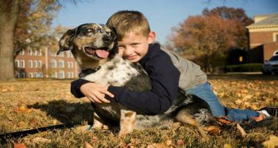 Σε σχολεία της Λήμνου το φιλοζωικό σωματείο &quot;Κιβωτός&quot; Μυτιλήνης (photos)