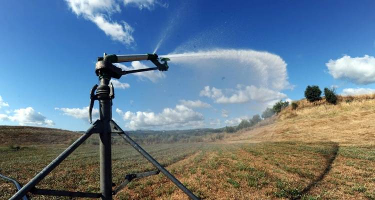 Λέκκας: Η λειψυδρία ήρθε για να μείνει, δεν είναι πλέον ένα παροδικό φαινόμενο | Πώς πρέπει να αντιμετωπιστεί