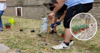 Μούδρος: Μια πράσινη γωνιά στο σχολείο | Μαθητική δράση για τις Βιώσιμες Κοινότητες