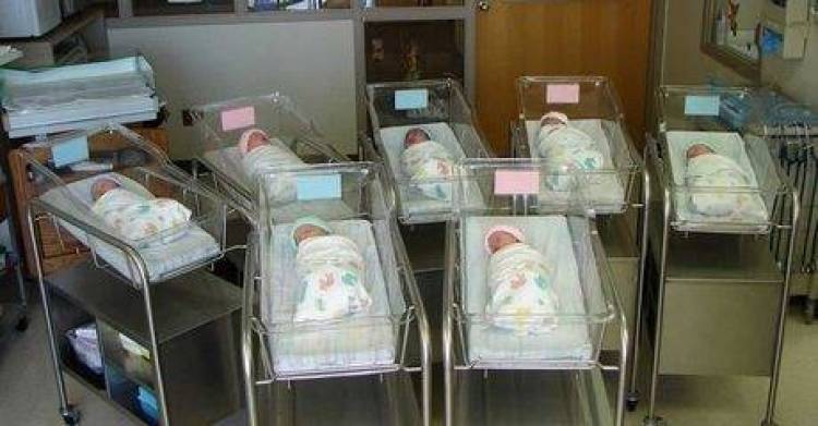 &Eta; &mu;έ&theta;&omicron;&delta;&omicron;&sigmaf; IVF, &phi;έ&rho;&nu;&epsilon;&iota; &zeta;&epsilon;&upsilon;&gamma;ά&rho;&iota;&alpha; &Alpha;&upsilon;&sigma;&tau;&rho;&alpha;&lambda;ώ&nu; &sigma;&tau;&eta;&nu; &Epsilon;&lambda;&lambda;ά&delta;&alpha;