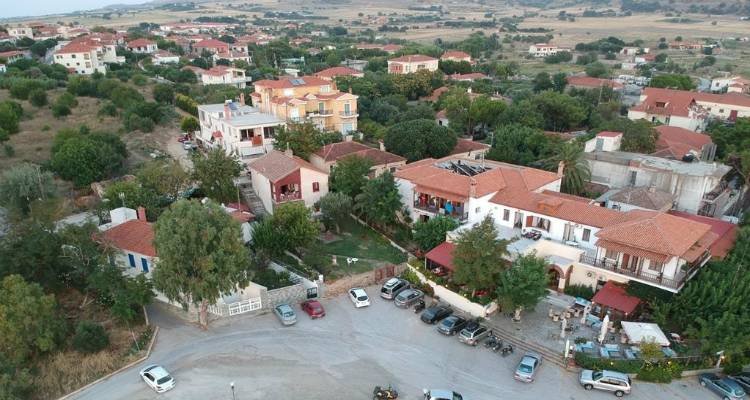 &Gamma;&epsilon;&nu;&iota;&kappa;ή &Sigma;&upsilon;&nu;έ&lambda;&epsilon;&upsilon;&sigma;&eta; &tau;&omicron;&upsilon; &Epsilon;&mu;&pi;&omicron;&rho;&iota;&kappa;&omicron;ύ &Sigma;&upsilon;&lambda;&lambda;ό&gamma;&omicron;&upsilon; &Mu;&omicron;ύ&delta;&rho;&omicron;&upsilon;