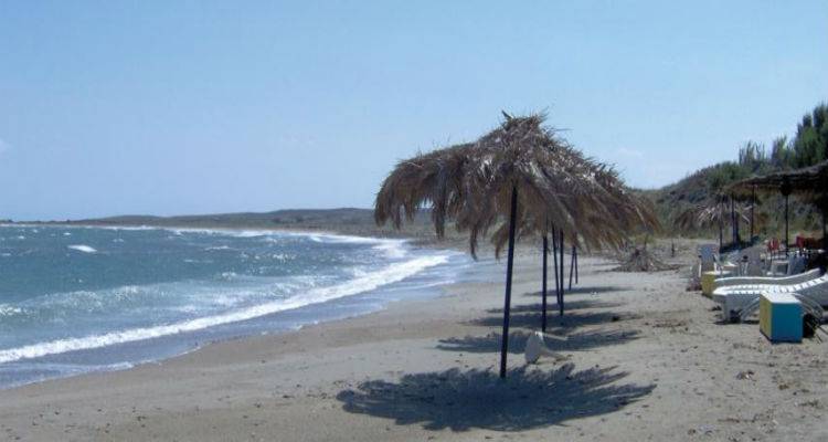 Οι εκπρόσωποι της WWF Ελλάς μιλούν στον Fm 100 για το Κέρος (mp3)