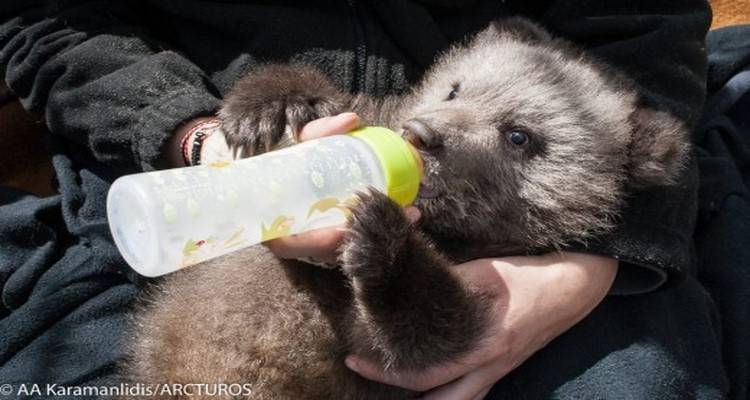 Ο «Πάτρικ» θα τα πάει μια χαρά! (photos)