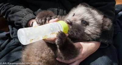 Ο «Πάτρικ» θα τα πάει μια χαρά! (photos)