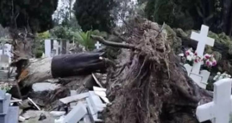 Ζημιές και προβλήματα στη βόρεια Κέρκυρα από την κακοκαιρία -Έσπασαν τάφοι σε νεκροταφείο από πεσμένα κυπαρίσσια