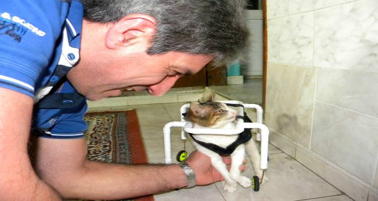 &Lambda;ή&mu;&nu;&omicron;&sigmaf;: &Kappa;&alpha;&tau;&alpha;&sigma;&kappa;&epsilon;&upsilon;ά&zeta;&epsilon;&iota; &alpha;&nu;&alpha;&pi;&eta;&rho;&iota;&kappa;ό &alpha;&mu;&alpha;&xi;ί&delta;&iota;&omicron; &kappa;&alpha;&iota; &kappa;ά&nu;&epsilon;&iota; &gamma;&alpha;&tau;ά&kappa;&iota; &nu;&alpha; &pi;&epsilon;&rho;&pi;&alpha;&tau;ή&sigma;&epsilon;&iota; &gamma;&iota;&alpha; &pi;&rho;ώ&tau;&eta; &phi;&omicron;&rho;ά (photos + video)