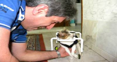 &Lambda;ή&mu;&nu;&omicron;&sigmaf;: &Kappa;&alpha;&tau;&alpha;&sigma;&kappa;&epsilon;&upsilon;ά&zeta;&epsilon;&iota; &alpha;&nu;&alpha;&pi;&eta;&rho;&iota;&kappa;ό &alpha;&mu;&alpha;&xi;ί&delta;&iota;&omicron; &kappa;&alpha;&iota; &kappa;ά&nu;&epsilon;&iota; &gamma;&alpha;&tau;ά&kappa;&iota; &nu;&alpha; &pi;&epsilon;&rho;&pi;&alpha;&tau;ή&sigma;&epsilon;&iota; &gamma;&iota;&alpha; &pi;&rho;ώ&tau;&eta; &phi;&omicron;&rho;ά (photos + video)