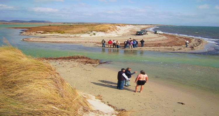 &Mu;&alpha;&rho;&iota;&nu;ά&kappa;&eta;&sigmaf; &kappa;&alpha;&iota; &Kappa;ό&tau;&sigma;&alpha;&lambda;&eta;&sigmaf; &sigma;&chi;&omicron;&lambda;&iota;ά&zeta;&omicron;&upsilon;&nu; &tau;&omicron; &alpha;&pi;&omicron;&tau;έ&lambda;&epsilon;&sigma;&mu;&alpha; &tau;&eta;&sigmaf; &delta;ί&kappa;&eta;&sigmaf; &gamma;&alpha; &tau;&eta;&nu; &Alpha;&lambda;&upsilon;&kappa;ή
