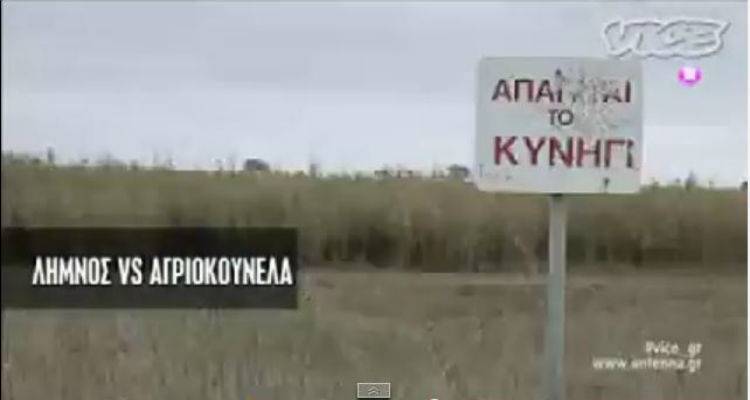 Λήμνος vs Αγριοκούνελα | Ντοκιμαντέρ στον Αντέννα (video)